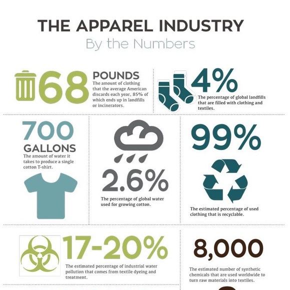 Meet your Posher, Jessie - Picture 4 of 5